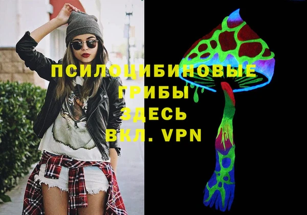 гашик Балабаново