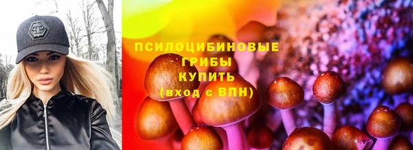 гашик Балабаново